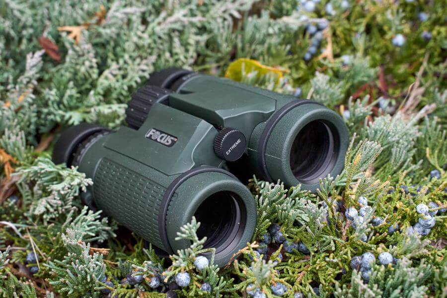 Focus Extreme